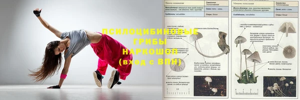 прущая мука Переславль-Залесский