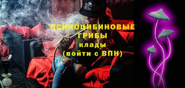 mix Пересвет
