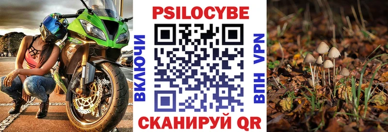 Псилоцибиновые грибы MAGIC MUSHROOMS ОМГ ОМГ как зайти Луховицы купить цена