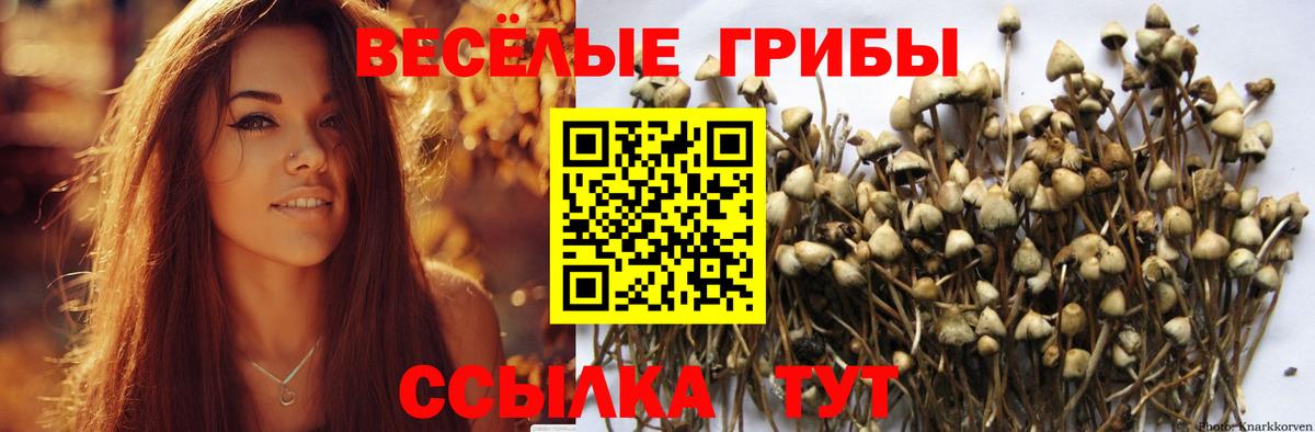 Псилоцибиновые грибы Magic Shrooms Луховицы